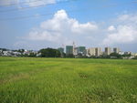 小镇风光