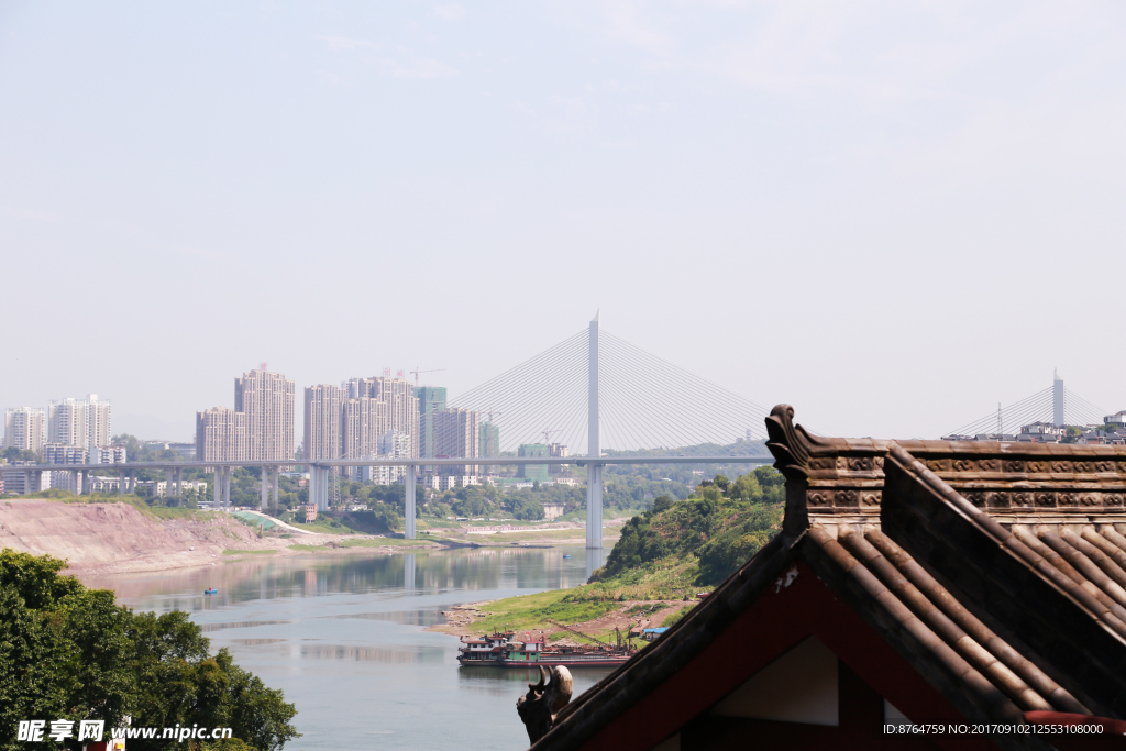 沙坪坝