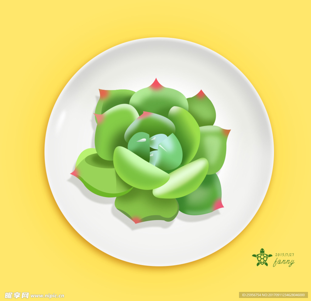多肉