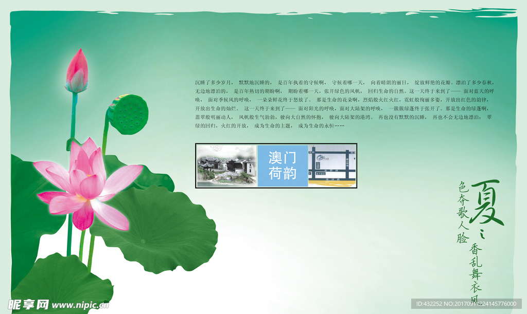 莲花