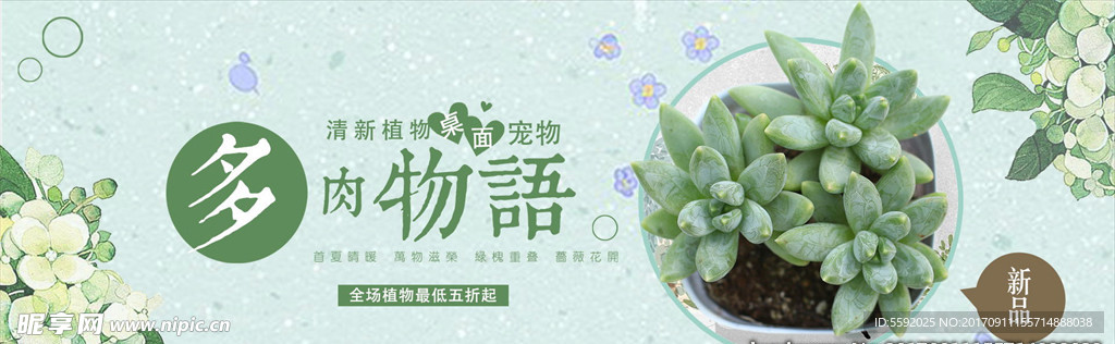 多肉植物banner设计