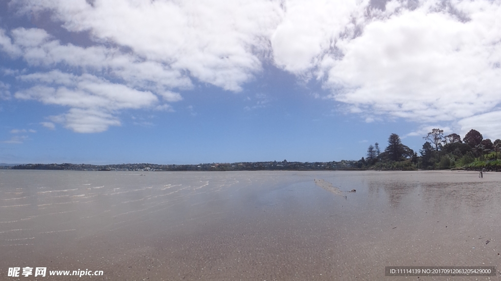 奥克兰海滨自然风景