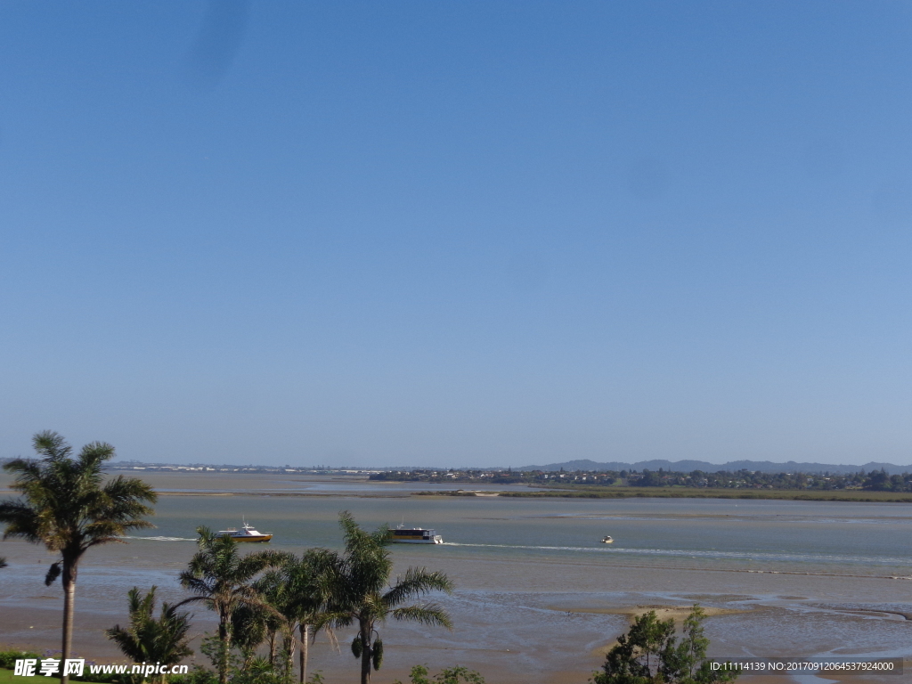 奥克兰海滨自然风景