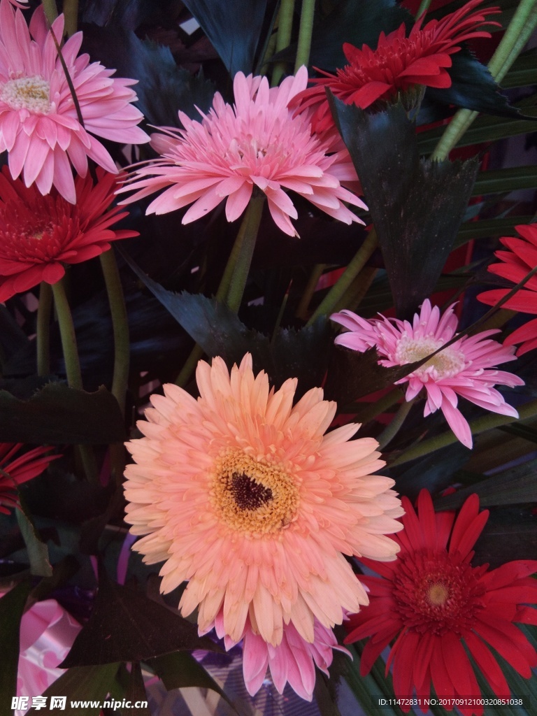 鲜花