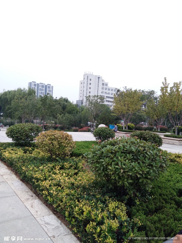 城市景观