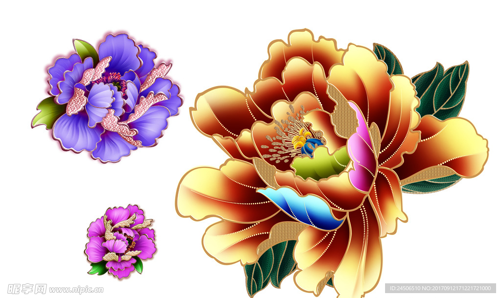 牡丹花