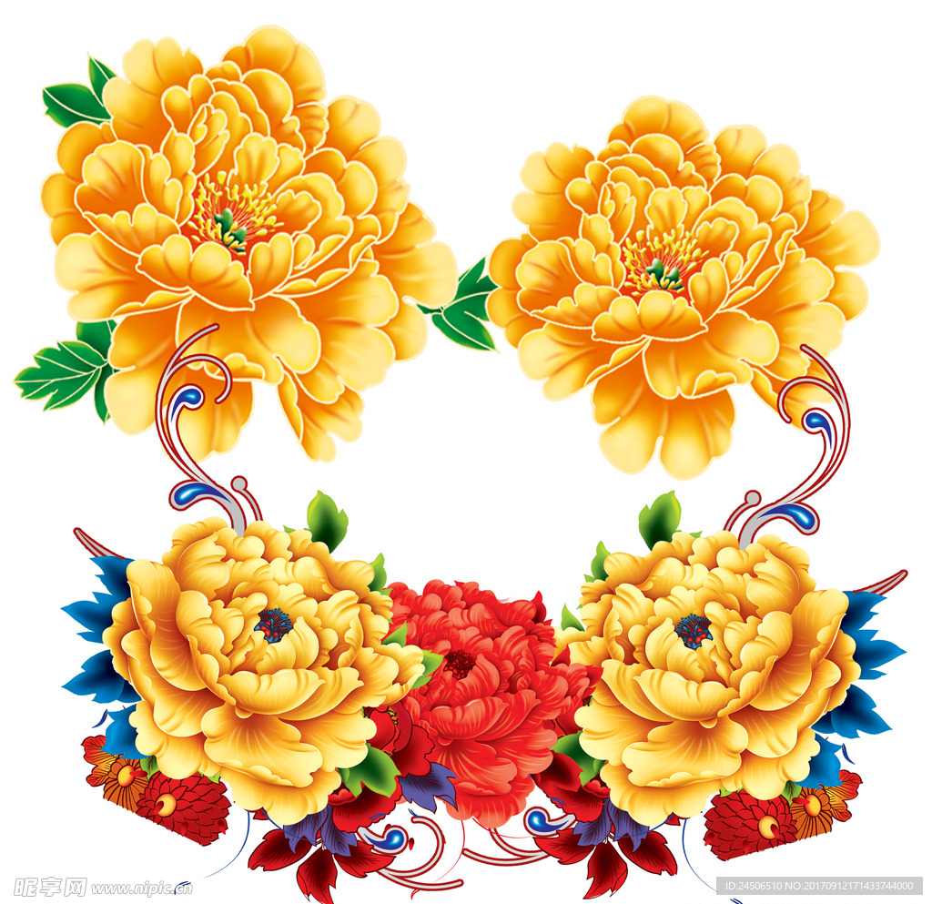 牡丹花