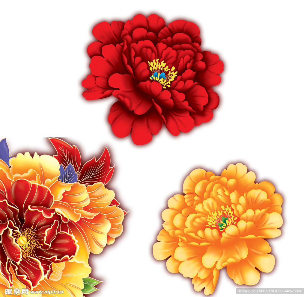 牡丹花