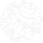 虫草人参叶子