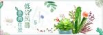 淡绿色小清新多肉花朵绿植淘宝