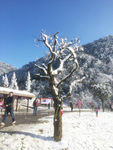 雪