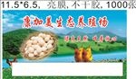 康加美生态养殖场