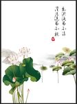 素净淡雅中国风荷花水墨海报