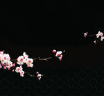 梅花