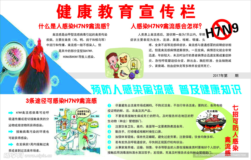 禽流感展板 教育宣传