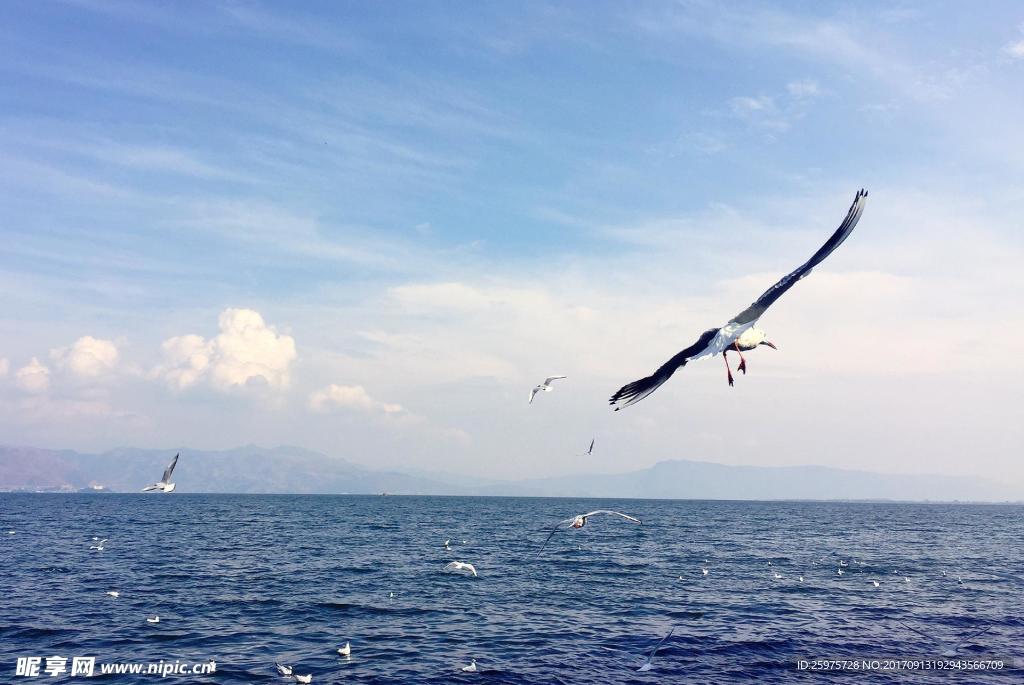 洱海