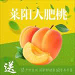 简约淘宝主图