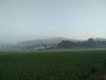 早晨的田野