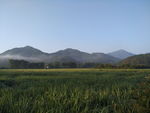 田园风光