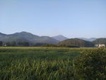 田园风光