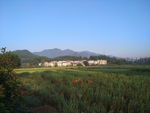 新农村