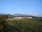 田园风光