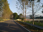 道路