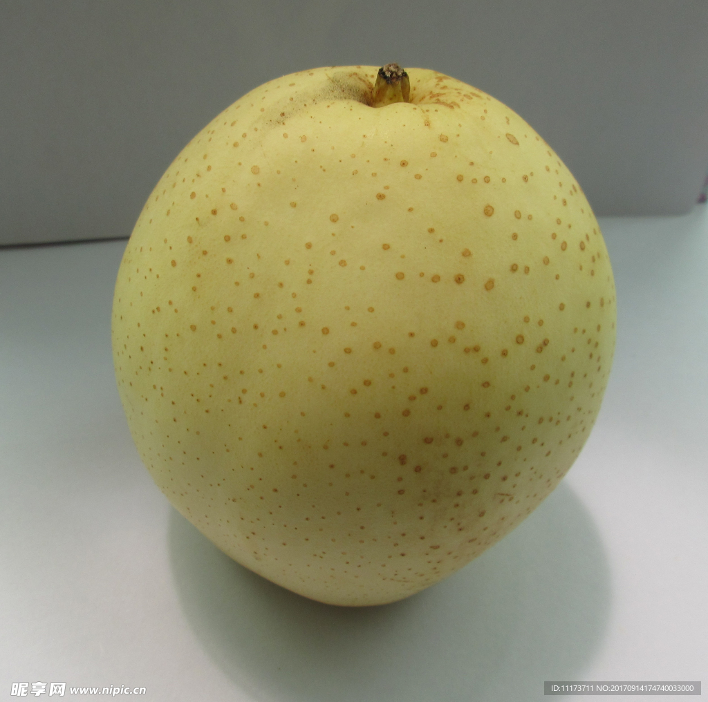 雪梨 梨子