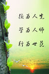 老师
