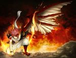 妖精的尾巴灭龙魔导士纳兹
