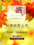 秋季新款上市