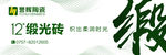 誉辉缎光砖形象画