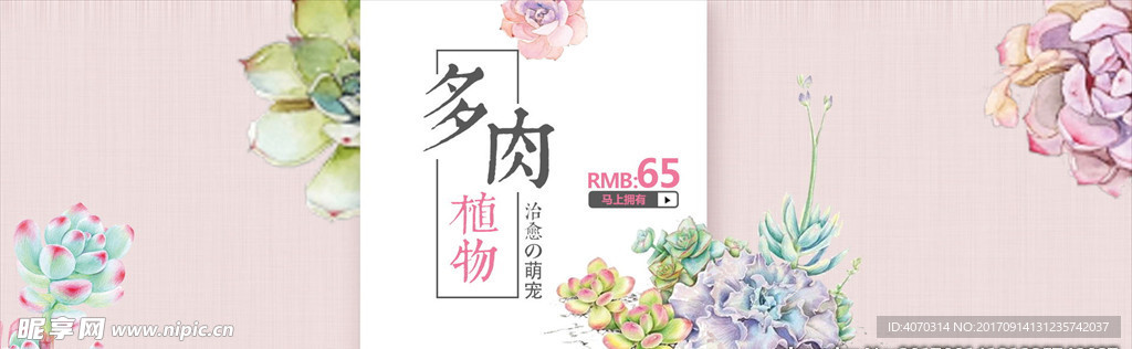 粉色文艺小清新风多肉植物淘宝