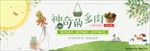 绿色小清新叶子神奇的多肉淘宝