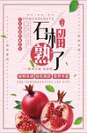 清新石榴熟了海报设计