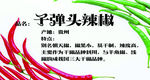 辣椒标签
