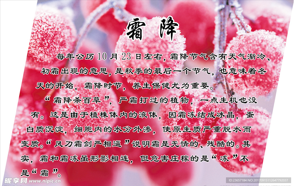霜降 二十四节气 传统节日
