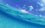 海水