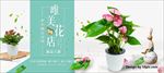 清新简约绿植盆栽唯美花店