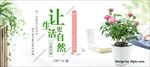 绿植盆栽唯美花店新品上市