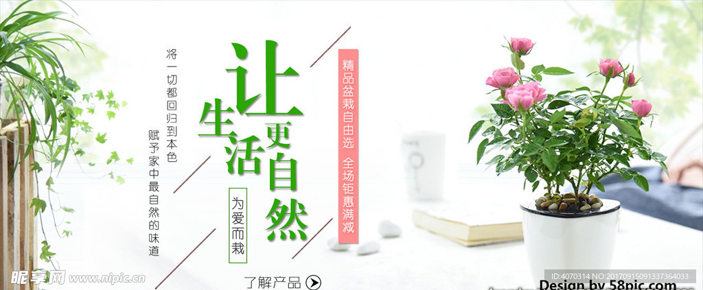 绿植盆栽唯美花店新品上市