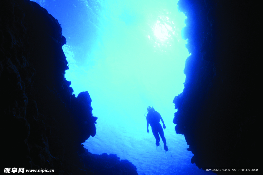 海底观赏图片   海洋生物世界