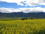 云南四川风光 旅游摄影素材