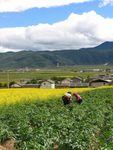 云南四川风光 旅游摄影素材