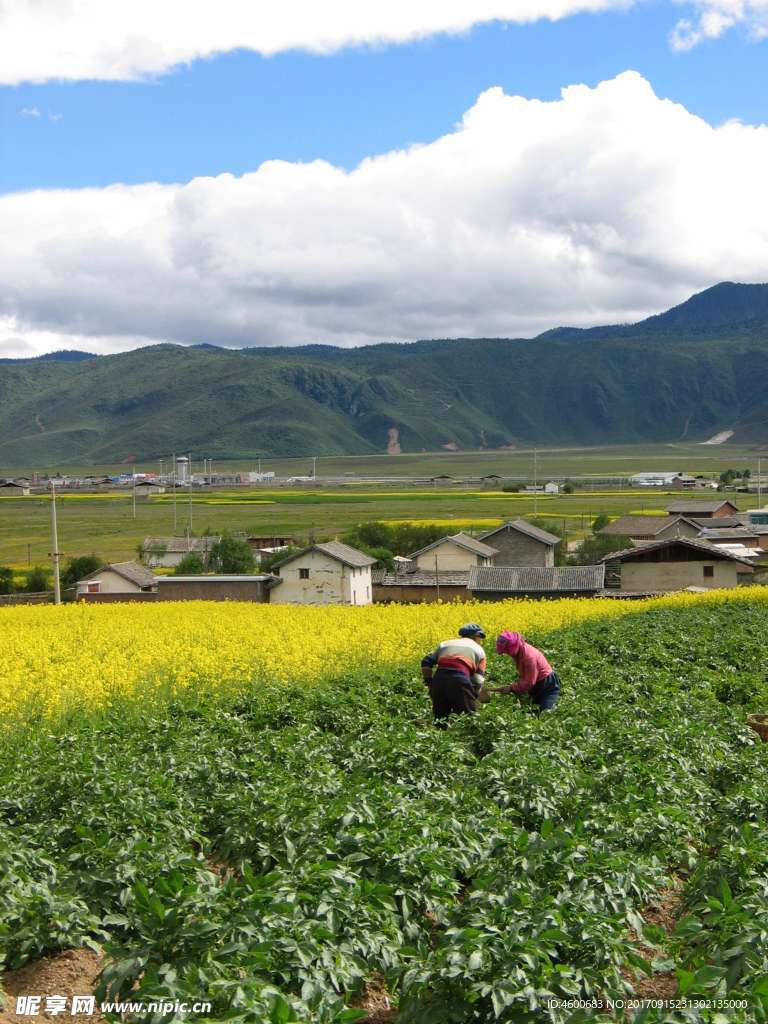 云南四川风光 旅游摄影素材