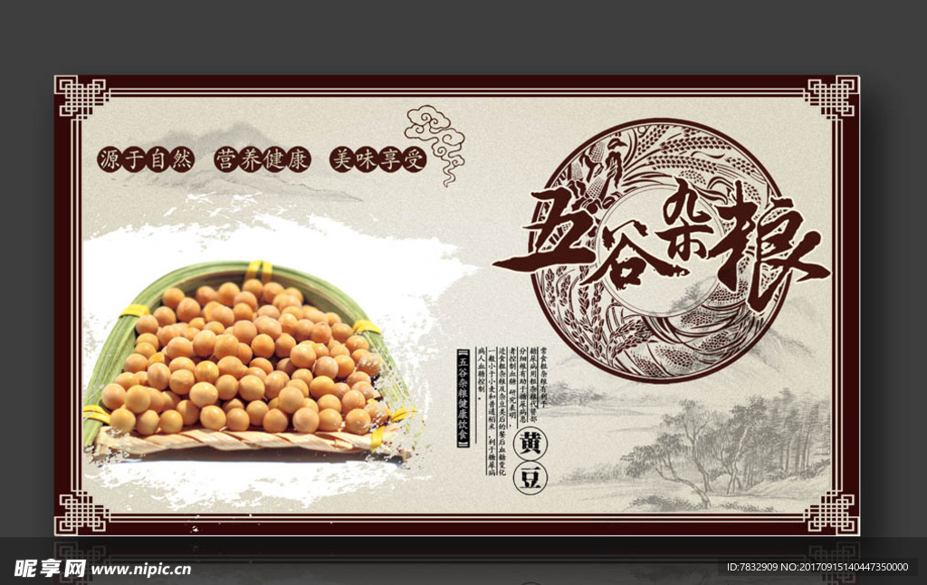 黄豆 五谷杂粮