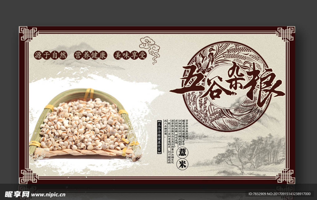 五谷杂粮 薏米