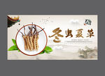 冬虫夏草