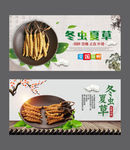 冬虫夏草