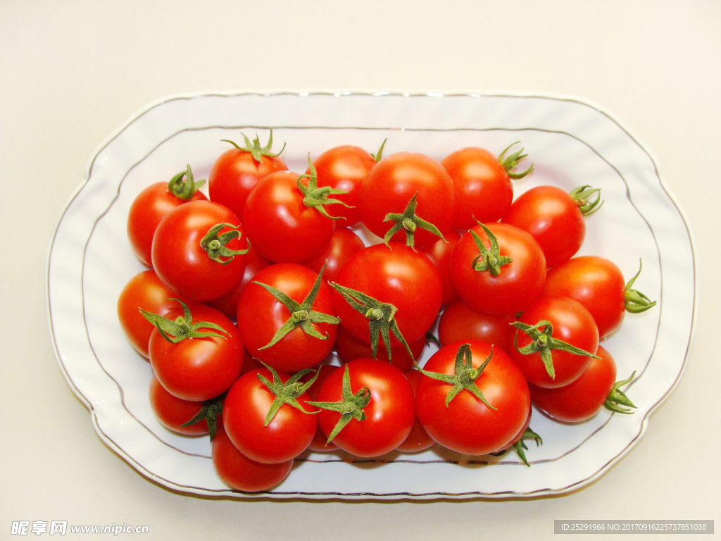 小西红柿 番茄